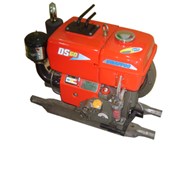 Động cơ diesel DS60