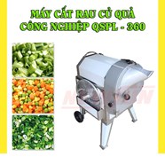 Máy cắt rau củ quả công nghiệp KN-QSPL 360