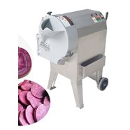 Máy thái rau củ quả đa năng QC-100