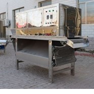 Máy bóc vỏ tỏi băng tải khí nén RYL-1000