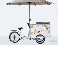 Xe bán kem di động Bike Cart (Easybest)