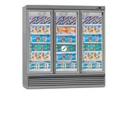 Tủ bảo quản kem và thực phẩm đông lạnh Iarp Eis 165.3