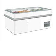 Tủ bảo quản kem và thực phẩm đông lạnh Iarp Gamma 150 N