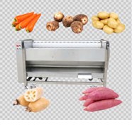 Máy làm sạch và cạo vỏ củ khoai lang, củ gừng OKS-1800