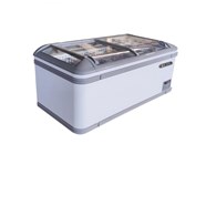 Tủ đông trưng bày cửa kính dạng lùa Berjaya BJY-IFGD-600L