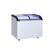 Tủ Đông Nằm H&C CBSD-320Q