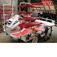 Máy cấy lúa Yanmar VP6 Nhật Bản 6 hàng