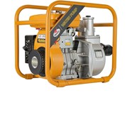  Động cơ xăng PTG307