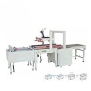 Dây chuyền dán thùng carton có đóng đai 1 lần MK-APLCSS02