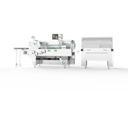 Máy Đóng Gói Dạng Nằm Ngang DW-2003G