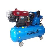 Máy Nén Khí Đầu Nổ Pegasus 7.5Hp 330L TM-W-0.67/12.5