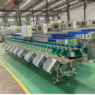 Máy phân loại trọng lượng thùng carton CQ-BD-10