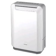 Máy hút ẩm Toshiba RAD-C100DBX