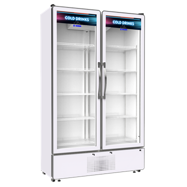 tu mat dung 2 canh kinh sanden spd-1000p hinh 1