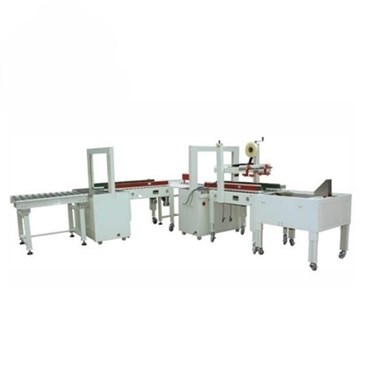 day chuyen dan thung carton co dong dai 2 lan mk-aplcss03 hinh 1