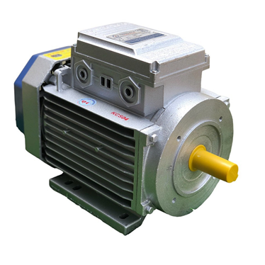 dong co motor dien 220v toan phat 3kw 1400v/phut  hinh 1