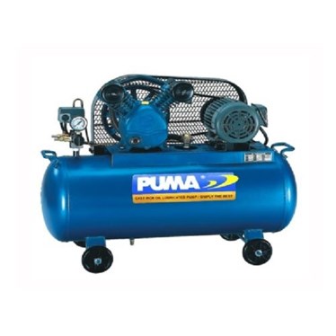 may nen khi day dai puma 2hp 100l px2100 hinh 1