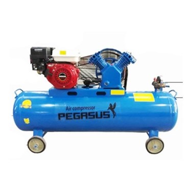 may nen khi chay xang 3hp 120l pegasus tm-v-0.25/8 hinh 1