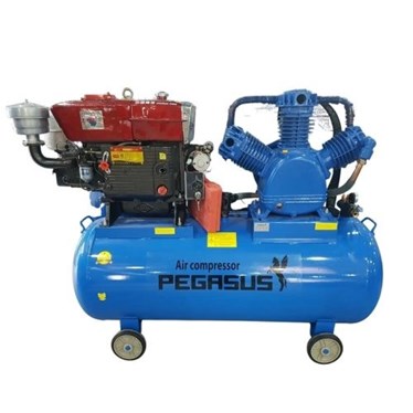 may nen khi chay dau diesel 10hp 330l pegasus tm-w-1.0/8 hinh 1