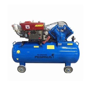 may nen khi chay dau diesel 10hp 500l pegasus tm-w-1.0/8 hinh 1