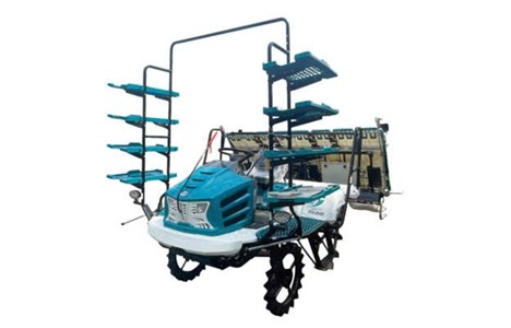 may cay lua toc do cao dang ngoi lai linhai 2zg-8d5k hinh 2