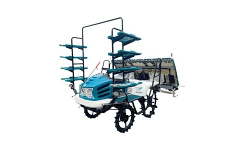 may cay lua toc do cao dang ngoi lai linhai 2zg-8d4k hinh 2