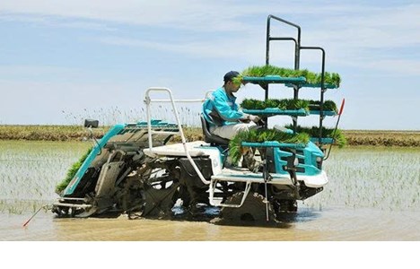 may cay lua kubota spv-6cmd hinh 2