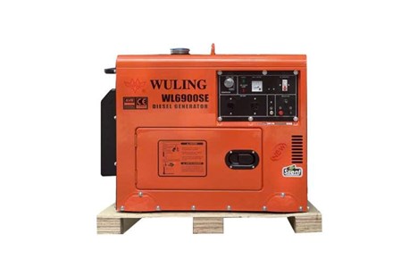 may phat dien chay dau 5kw wuling wl6900se hinh 2