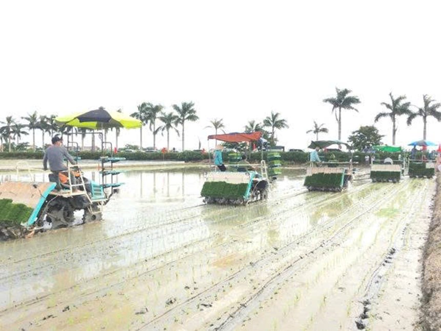 may cay lua kubota spv-6cmd hinh 1